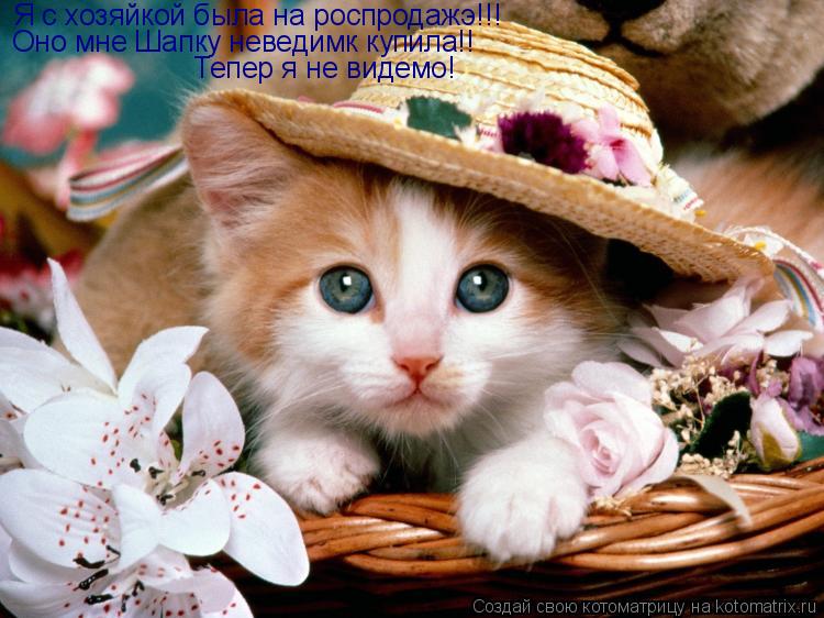 Котоматрица: Я с хозяйкой была на роспродажэ!!! Оно мне Шапку неведимк купила!! Тепер я не видемо!
