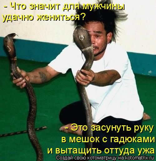 Котоматрица: - Что значит для мужчины  удачно жениться? - Это засунуть руку   в мешок с гадюками   и вытащить оттуда ужа