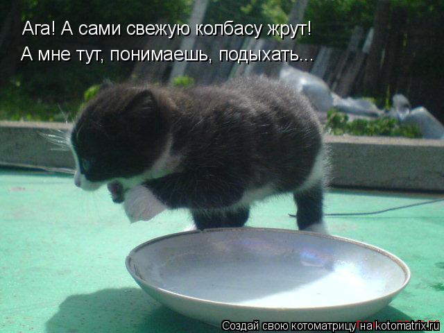 Котоматрица: Ага! А сами свежую колбасу жрут! А мне тут, понимаешь, подыхать...