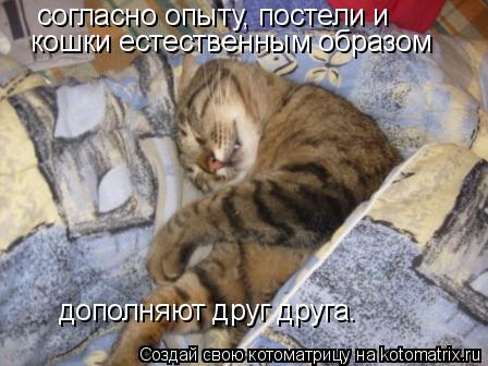 Котоматрица: согласно опыту, постели и кошки естественным образом дополняют друг друга.