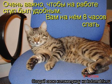 Котоматрица: Очень важно, чтобы на работе стул был удобным. Вам на нём 8 часов спать