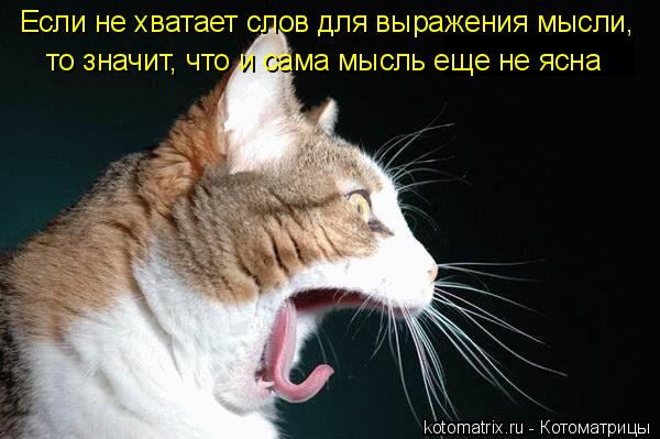Котоматрица: Если не хватает слов для выражения мысли,  то значит, что и сама мысль еще не ясна