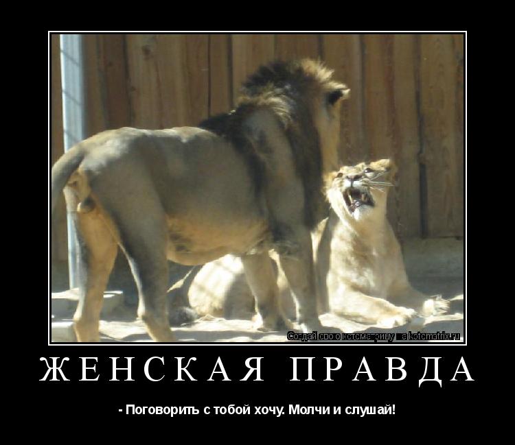 Котоматрица: Женская правда - Поговорить с тобой хочу. Молчи и слушай!