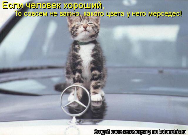 Котоматрица: Если человек хороший, То совсем не важно, какого цвета у него мерседес!
