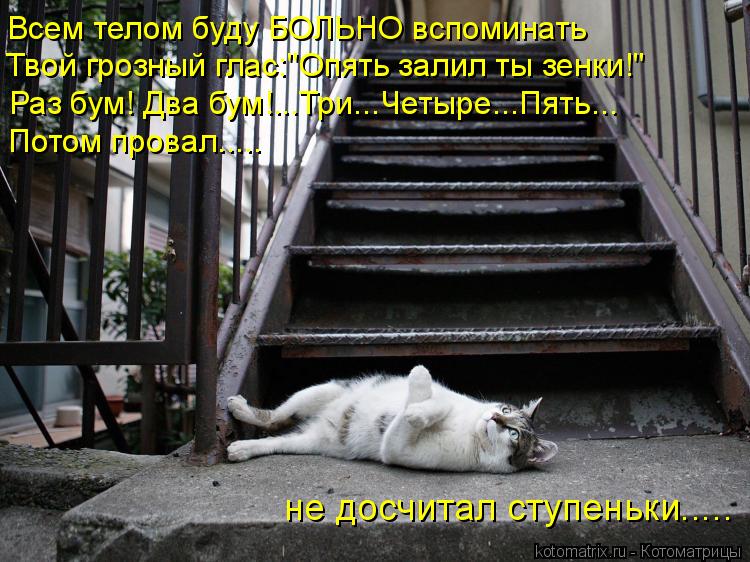 Всем телом буду БОЛЬНО вспоминать Твой грозный глас:"Опять залил ты зенки!" Раз бум! Два бум!...Три..... Котоматрица: Всем телом буду БОЛЬНО вспоминать Твой грозный глас:"Опять залил ты зенки!" Раз бум! Два бум!...Три...Четыре...Пять... Потом провал..... не досчитал