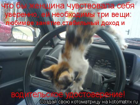 Котоматрица: что бы женщина чувствовала себя уверенно, ей необходимы три вещи: любимое занятие,стабильный доход и водительское удостоверение!