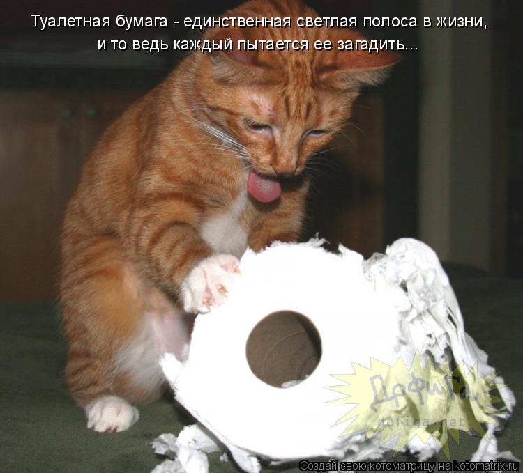 Котоматрица: Туалетная бумага - единственная светлая полоса в жизни, и то ведь каждый пытается ее загадить...