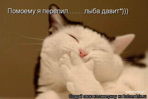 Помоему я перепил........ лыба давит*)))... Котоматрица: Помоему я перепил........ лыба давит*)))