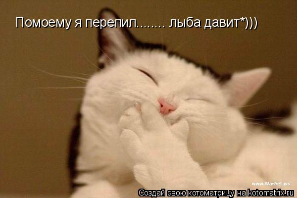 Котоматрица: Помоему я перепил........ лыба давит*)))