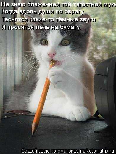 Котоматрица: Не знаю блаженней той тягостной муки Когда вдоль души по оврагу Теснятся какие-то тёмные звуки И просятся лечь на бумагу.