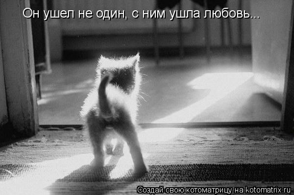 Котоматрица: Он ушел не один, с ним ушла любовь...