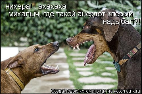нихера!.. ахахаха михалыч, где такой анекдот клёвый надыбал?!... Котоматрица: нихера!.. ахахаха михалыч, где такой анекдот клёвый надыбал?!