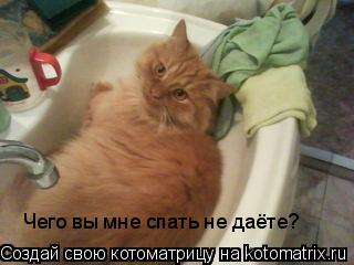 Котоматрица: Чего вы мне спать не даёте?