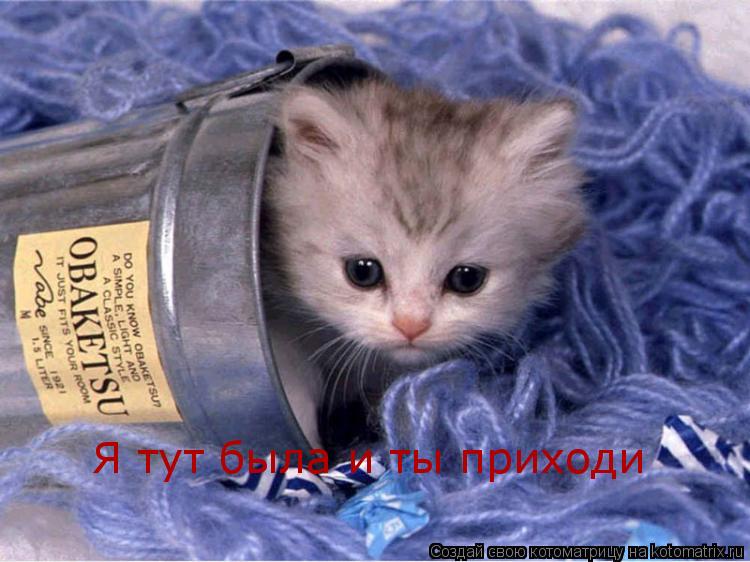 Я тут была и ты приходи... Котоматрица: Я тут была и ты приходи