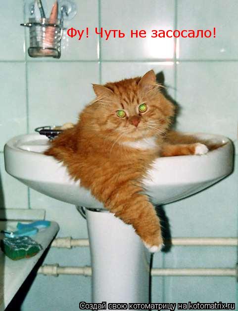 Котоматрица: Фу! Чуть не засосало!