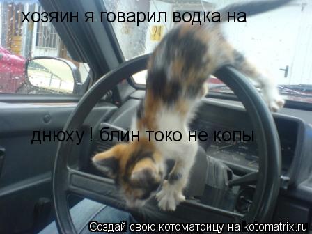 Котоматрица: хозяин я говарил водка на днюху ! блин токо не копы