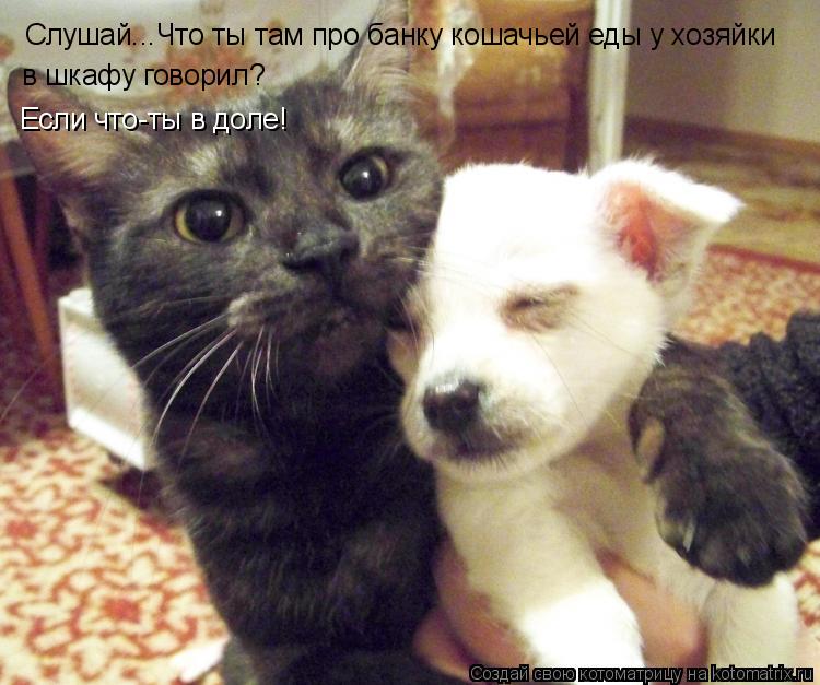 Слушай...Что ты там про банку кошачьей еды у хозяйки в шкафу говорил? Если что-ты в доле!... Котоматрица: Слушай...Что ты там про банку кошачьей еды у хозяйки в шкафу говорил? Если что-ты в доле!