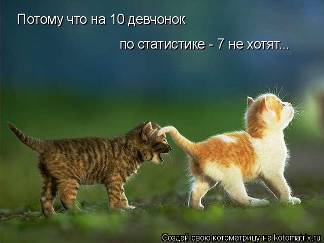 Потому что на 10 девчонок по статистике - 7 не хотят...... Котоматрица: Потому что на 10 девчонок по статистике - 7 не хотят...