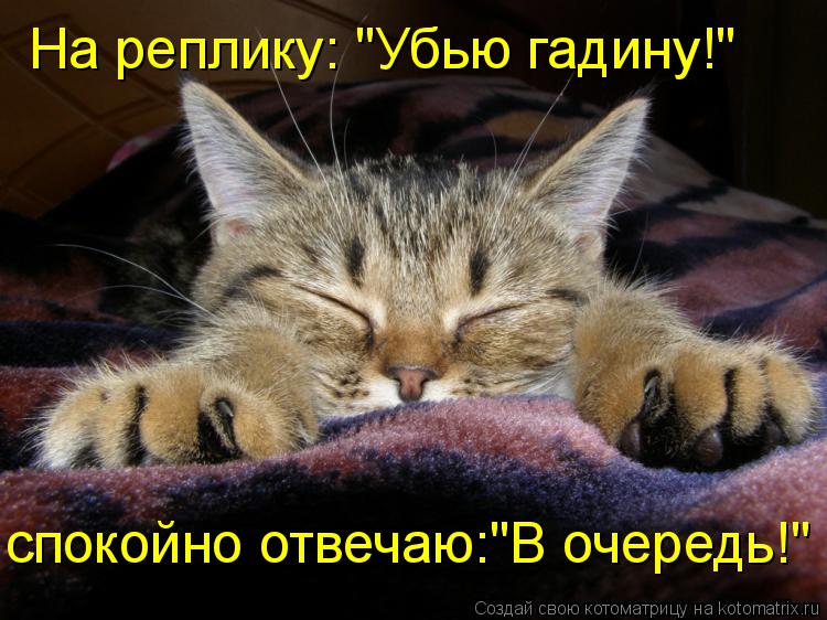 Котоматрица: На реплику: "Убью гадину!" спокойно отвечаю:"В очередь!"