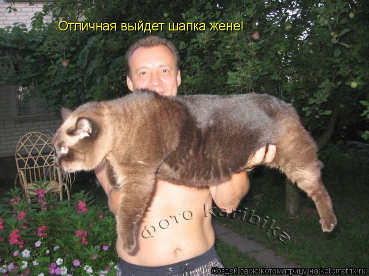 Котоматрица: Отличная выйдет шапка жене!
