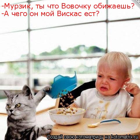Котоматрица: -Мурзик, ты что Вовочку обижаешь? -А чего он мой Вискас ест?