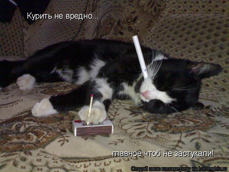 Курить не вредно... главное чтоб не застукали!... Котоматрица: Курить не вредно... главное чтоб не застукали!