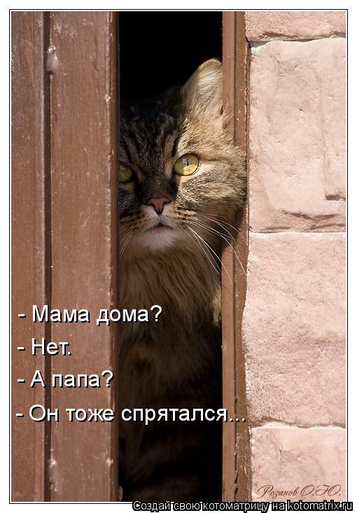 - Мама дома? - Нет. - А папа? - Он тоже спрятался...... Котоматрица: - Мама дома? - Нет. - А папа? - Он тоже спрятался...
