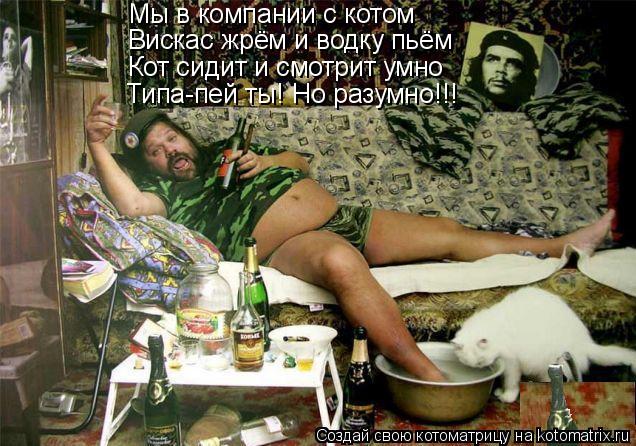 Котоматрица: Мы в компании с котом Вискас жрём и водку пьём Кот сидит и смотрит умно Типа-пей ты! Но разумно!!!