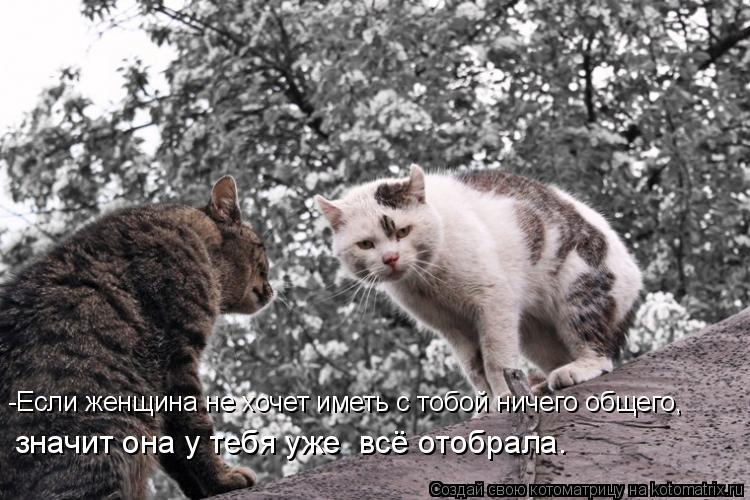 Котоматрица: -Если женщина не хочет иметь с тобой ничего общего, значит она у тебя уже  всё отобрала.