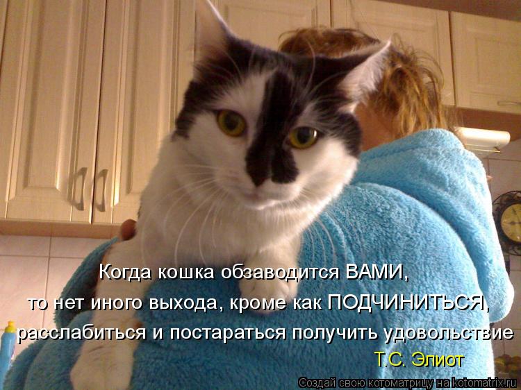 Когда кошка обзаводится ВАМИ, то нет иного выхода, кроме как ПОДЧИНИТЬСЯ, расслабиться и постаратьс... Котоматрица: Когда кошка обзаводится ВАМИ, то нет иного выхода, кроме как ПОДЧИНИТЬСЯ, расслабиться и постараться получить удовольствие Т.С. Элиот