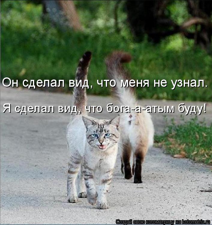 Он сделал вид, что меня не узнал. Я сделал вид, что бога-a-aтым буду!... Котоматрица: Он сделал вид, что меня не узнал. Я сделал вид, что бога-a-aтым буду!