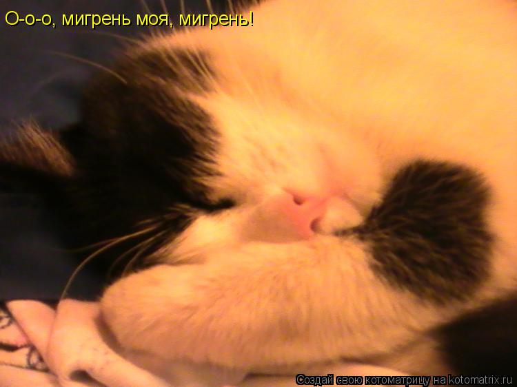 Котоматрица: О-о-о, мигрень моя, мигрень!