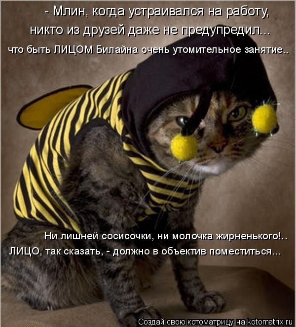 - Млин, когда устраивался на работу, никто из друзей даже не предупредил... что быть ЛИЦОМ Билайна оч... Котоматрица: - Млин, когда устраивался на работу, никто из друзей даже не предупредил... что быть ЛИЦОМ Билайна очень утомительное занятие.. Ни лишней соси