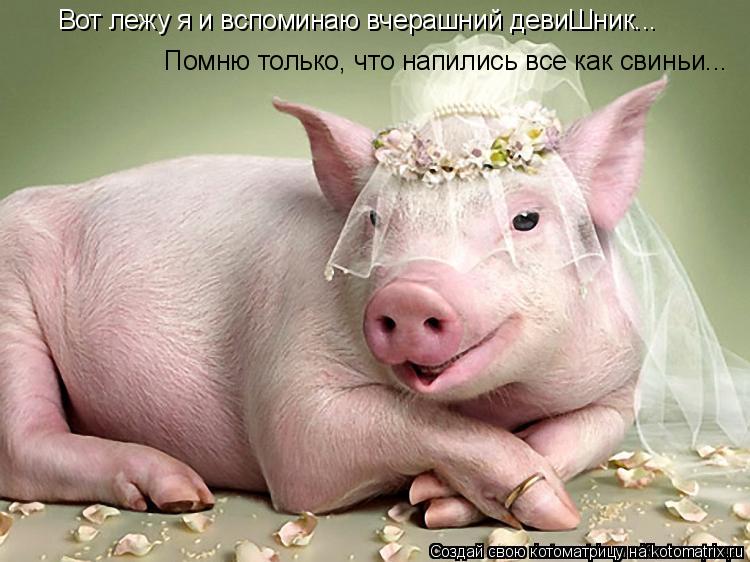 Вот лежу я и вспоминаю вчерашний девиШник... Помню только, что напились все как свиньи...... Котоматрица: Вот лежу я и вспоминаю вчерашний девиШник... Помню только, что напились все как свиньи...