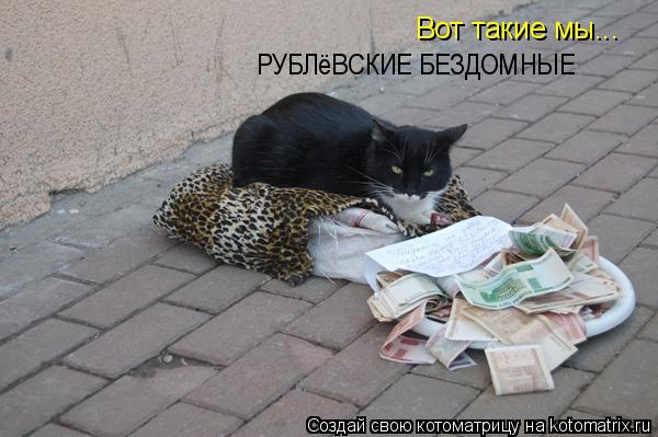Вот такие мы... РУБЛёВСКИЕ БЕЗДОМНЫЕ... Котоматрица: Вот такие мы... РУБЛёВСКИЕ БЕЗДОМНЫЕ