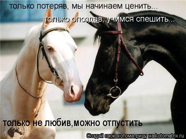 только потеряв, мы начинаем ценить... только опоздав, учимся спешить... только не любив,можно отпусти... Котоматрица: только потеряв, мы начинаем ценить... только опоздав, учимся спешить... только не любив,можно отпустить