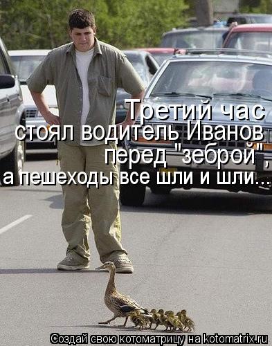 Третий час стоял водитель Иванов перед "зеброй", а пешеходы все шли и шли... стоял водитель Иванов ... Котоматрица: Третий час стоял водитель Иванов перед "зеброй", а пешеходы все шли и шли... стоял водитель Иванов перед "зеброй", а пешеходы все шли и шли...
