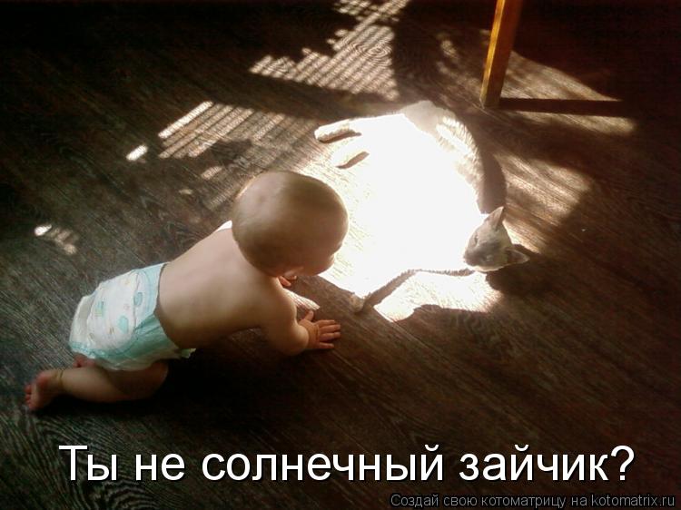 Ты не солнечный зайчик?... Котоматрица: Ты не солнечный зайчик?