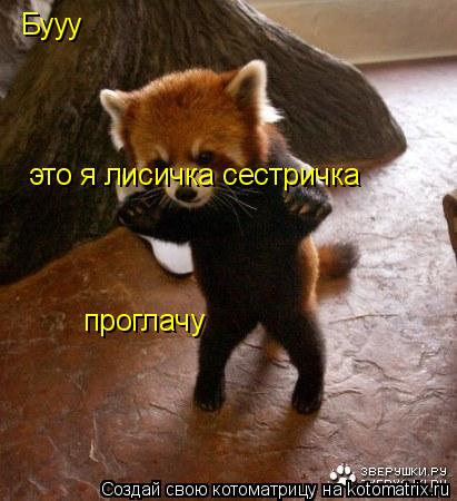 Бууу это я лисичка сестричка проглачу... Котоматрица: Бууу это я лисичка сестричка проглачу