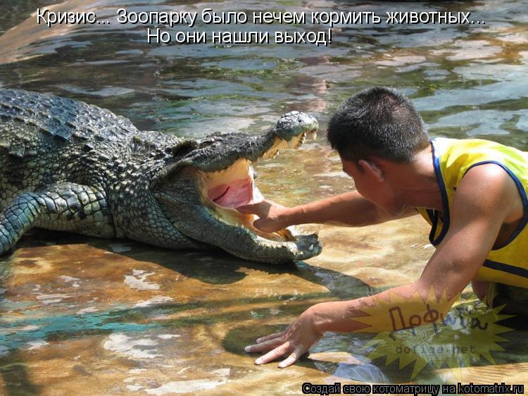 Котоматрица: Кризис... Зоопарку было нечем кормить животных... Но они нашли выход!