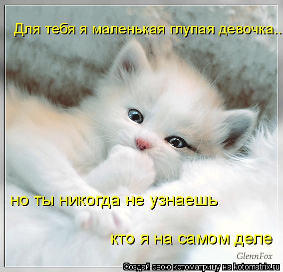 Котоматрица: Для тебя я маленькая глупая девочка.... но ты никогда не узнаешь  кто я на самом деле