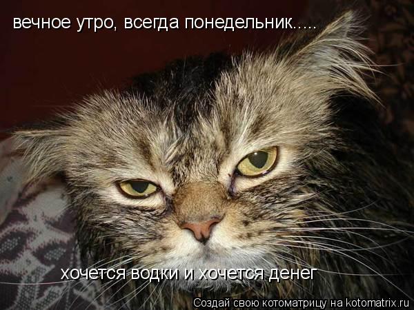Котоматрица: вечное утро, всегда понедельник..... хочется водки и хочется денег