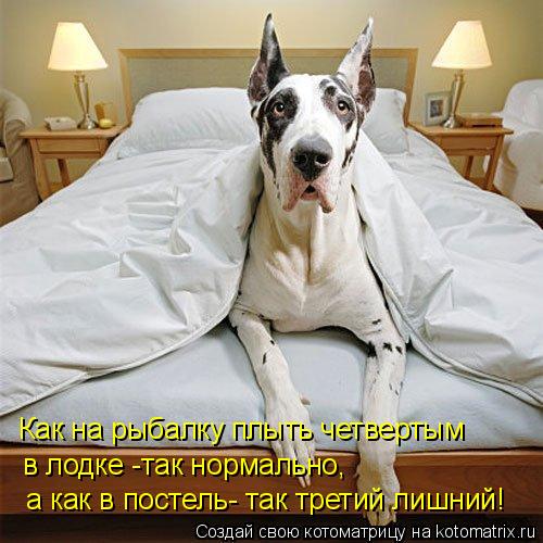 в лодке -так нормально, а как в постель- так третий лишний! Как на рыбалку плыть четвертым... Котоматрица: в лодке -так нормально, а как в постель- так третий лишний! Как на рыбалку плыть четвертым