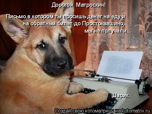 Дорогой Матроскин! Письмо,в котором ты просишь денег на еду и на обратный билет до Простоквашино, мы... Котоматрица: Дорогой Матроскин! Письмо,в котором ты просишь денег на еду и на обратный билет до Простоквашино, мы не получали... Шарик.