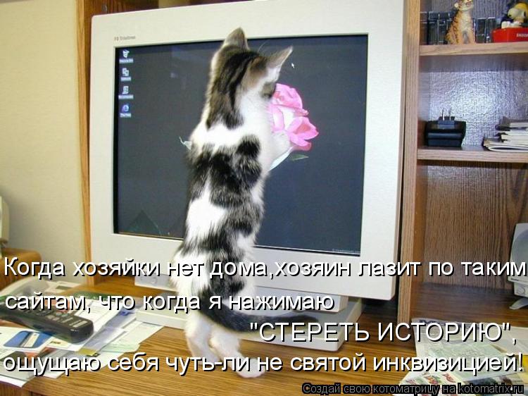 Когда хозяйки нет дома,хозяин лазит по таким сайтам, что когда я нажимаю "СТЕРЕТЬ ИСТОРИЮ", ощущаю с... Котоматрица: Когда хозяйки нет дома,хозяин лазит по таким сайтам, что когда я нажимаю "СТЕРЕТЬ ИСТОРИЮ", ощущаю себя чуть-ли не святой инквизицией!