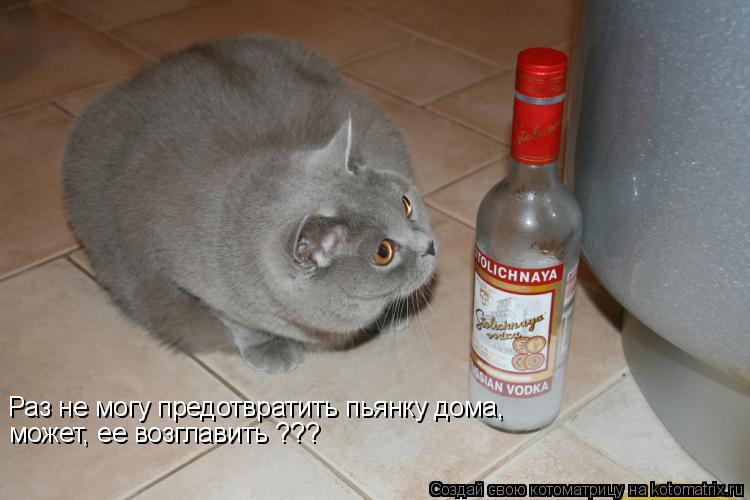 Котоматрица: Раз не могу предотвратить пьянку дома,  может, ее возглавить ???