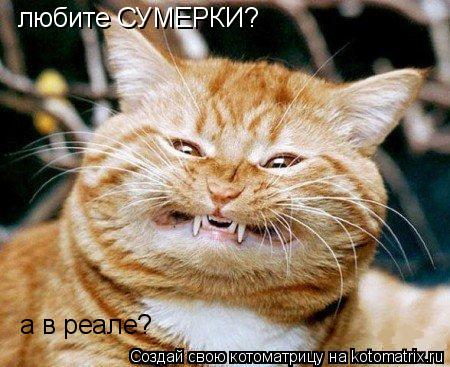 Котоматрица: любите СУМЕРКИ? а в реале?