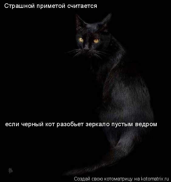 Котоматрица: Страшной приметой считается если черный кот разобьет зеркало пустым ведром
