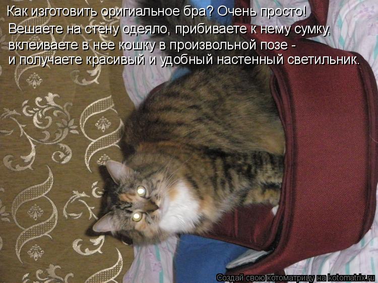 Котоматрица: Вешаете на стену одеяло, прибиваете к нему сумку,  вклеиваете в нее кошку в произвольной позе -  Как изготовить оригиальное бра? Очень просто