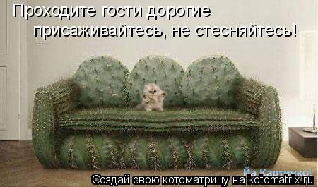 Проходите гости дорогие присаживайтесь, не стесняйтесь!... Котоматрица: Проходите гости дорогие присаживайтесь, не стесняйтесь!